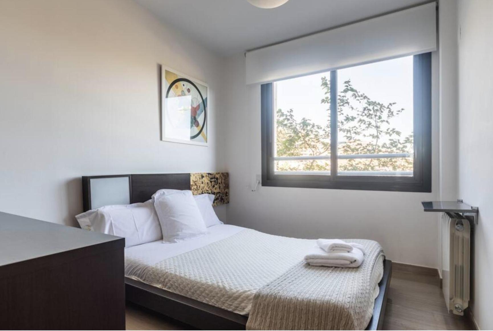 Art And Sciences View Luxury Apartment Valencia Buitenkant foto